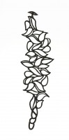 Drops